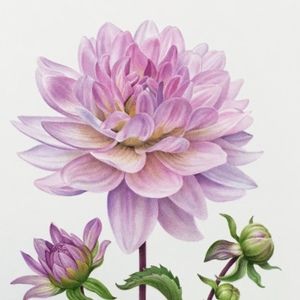 Meet your Posher, Audrey